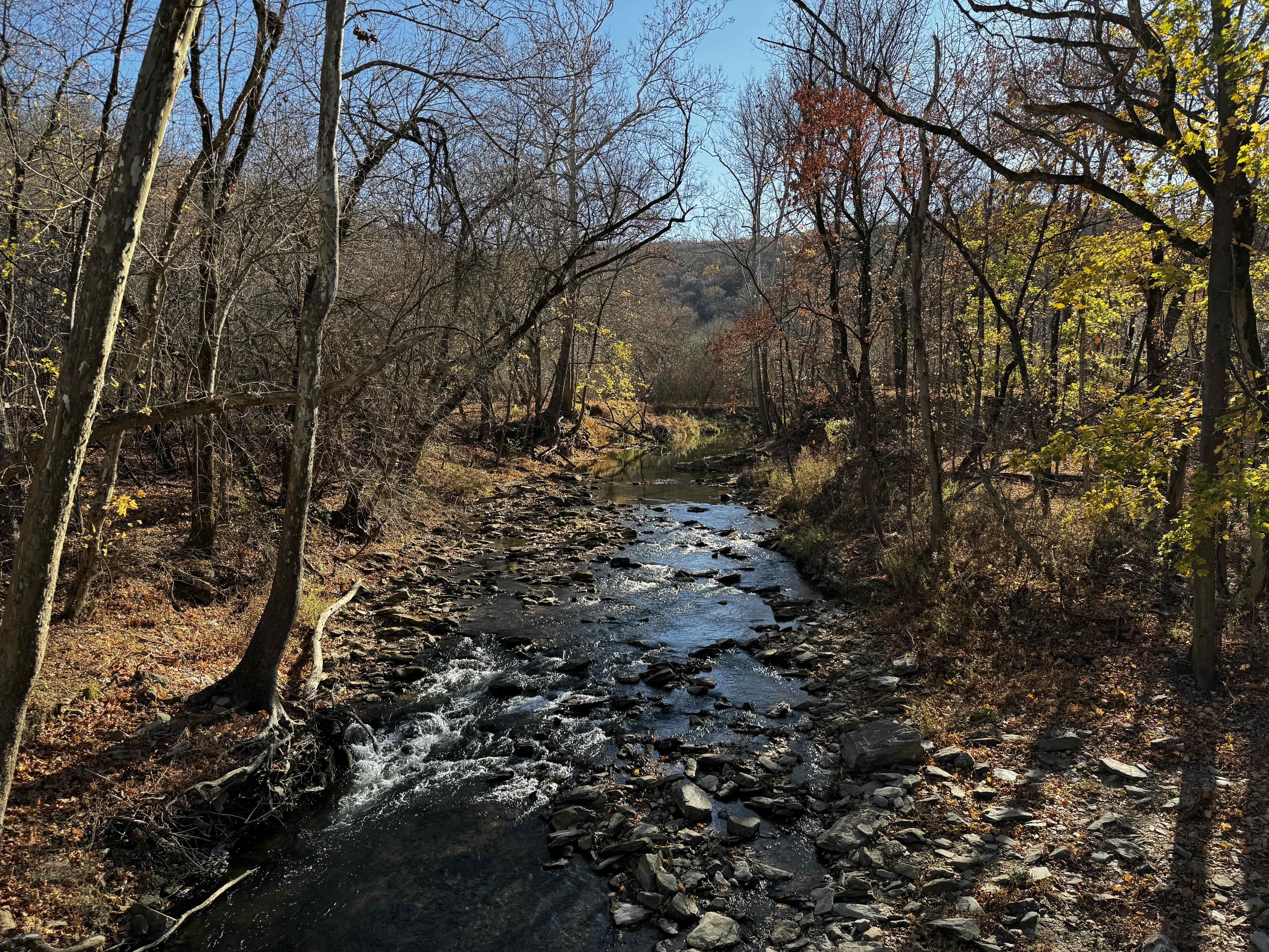 Fall Creek at Valley Forge